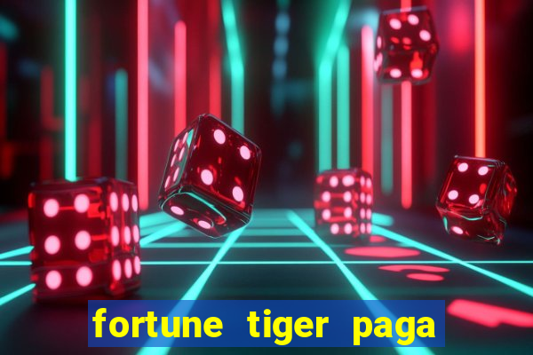 fortune tiger paga de madrugada